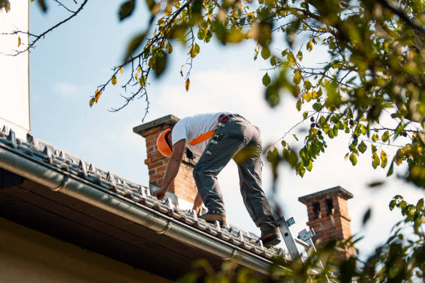 Best Residential Roof Replacement  in Shamokin Dam, PA