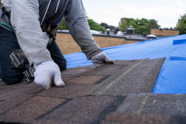 Best Commercial Roof Installation  in Shamokin Dam, PA
